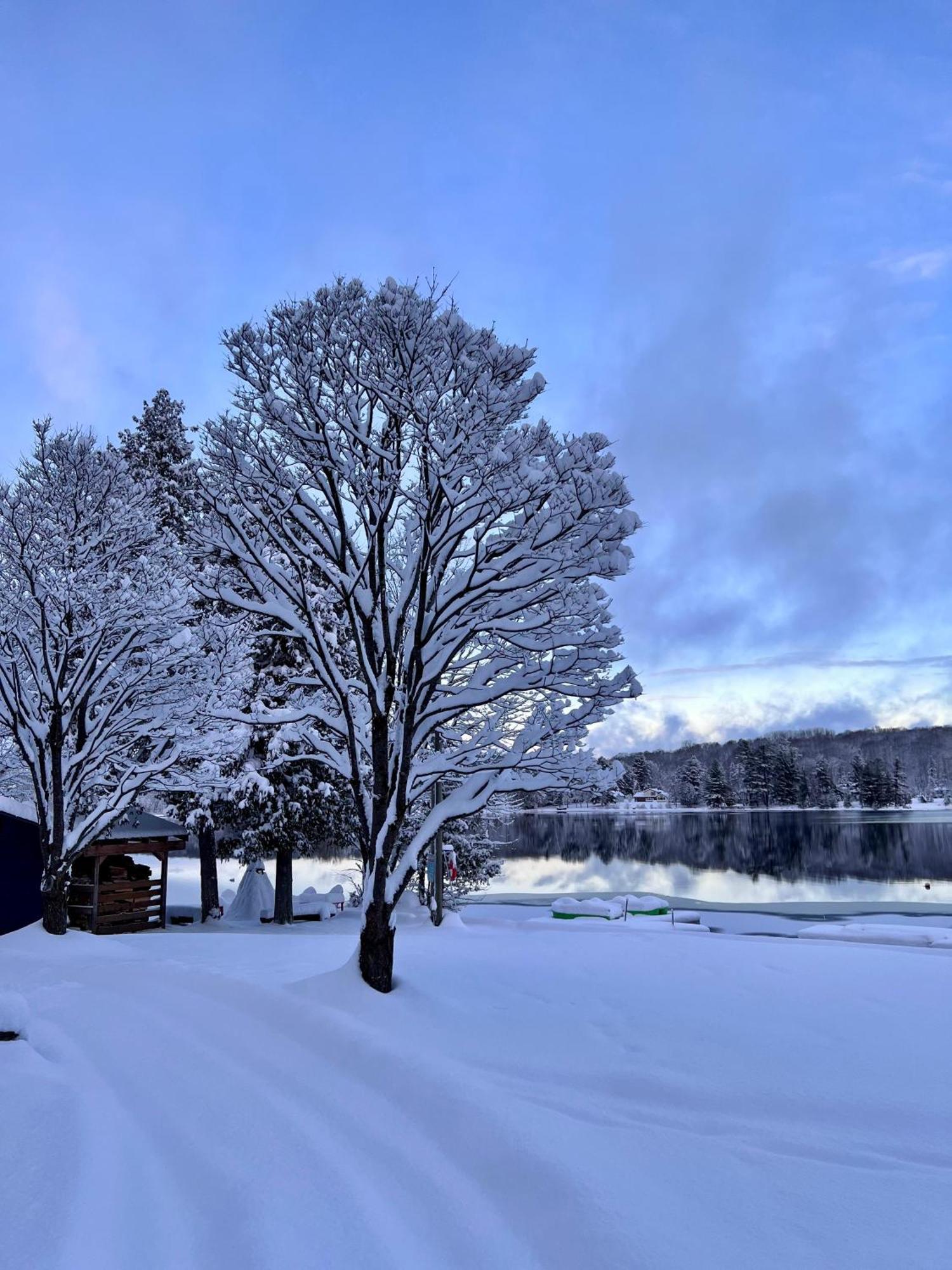 Bonnie View Inn Haliburton Esterno foto